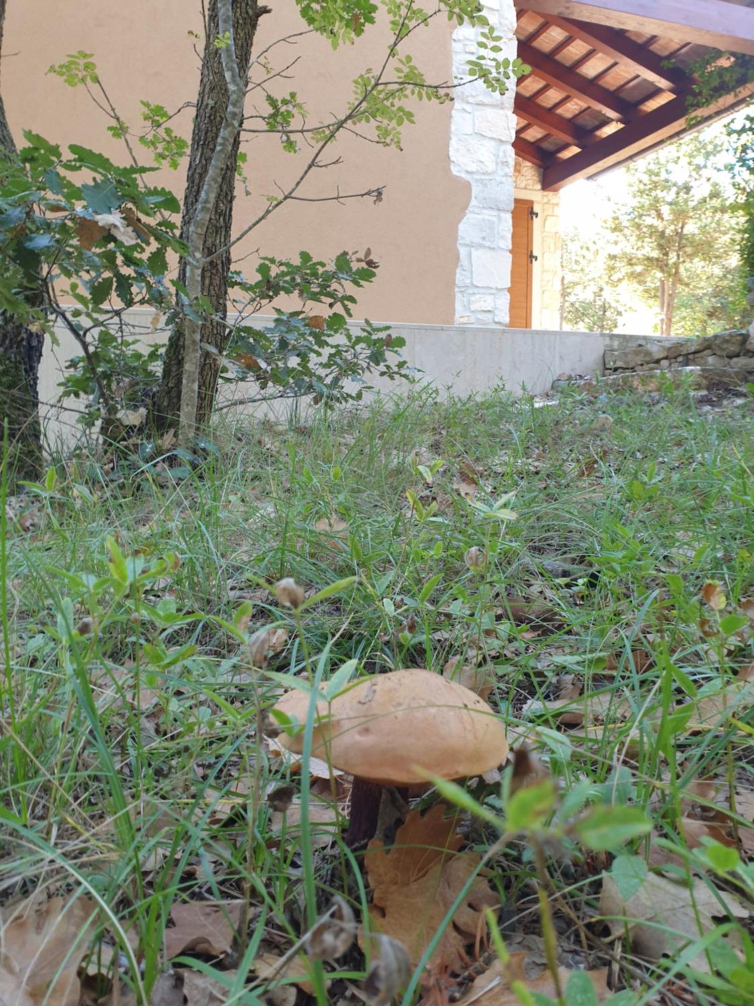 Divšići Villa Valeria מראה חיצוני תמונה